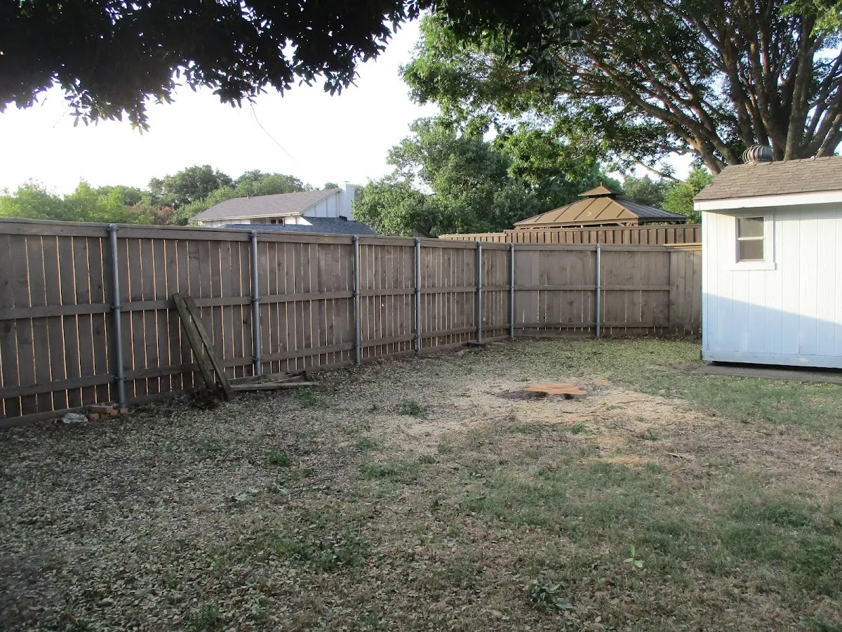 Cleared yard after professional tree removal in Fort Oglethorpe